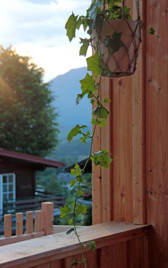Haus Am Salz Mit Sauna Бад-Ишль Экстерьер фото